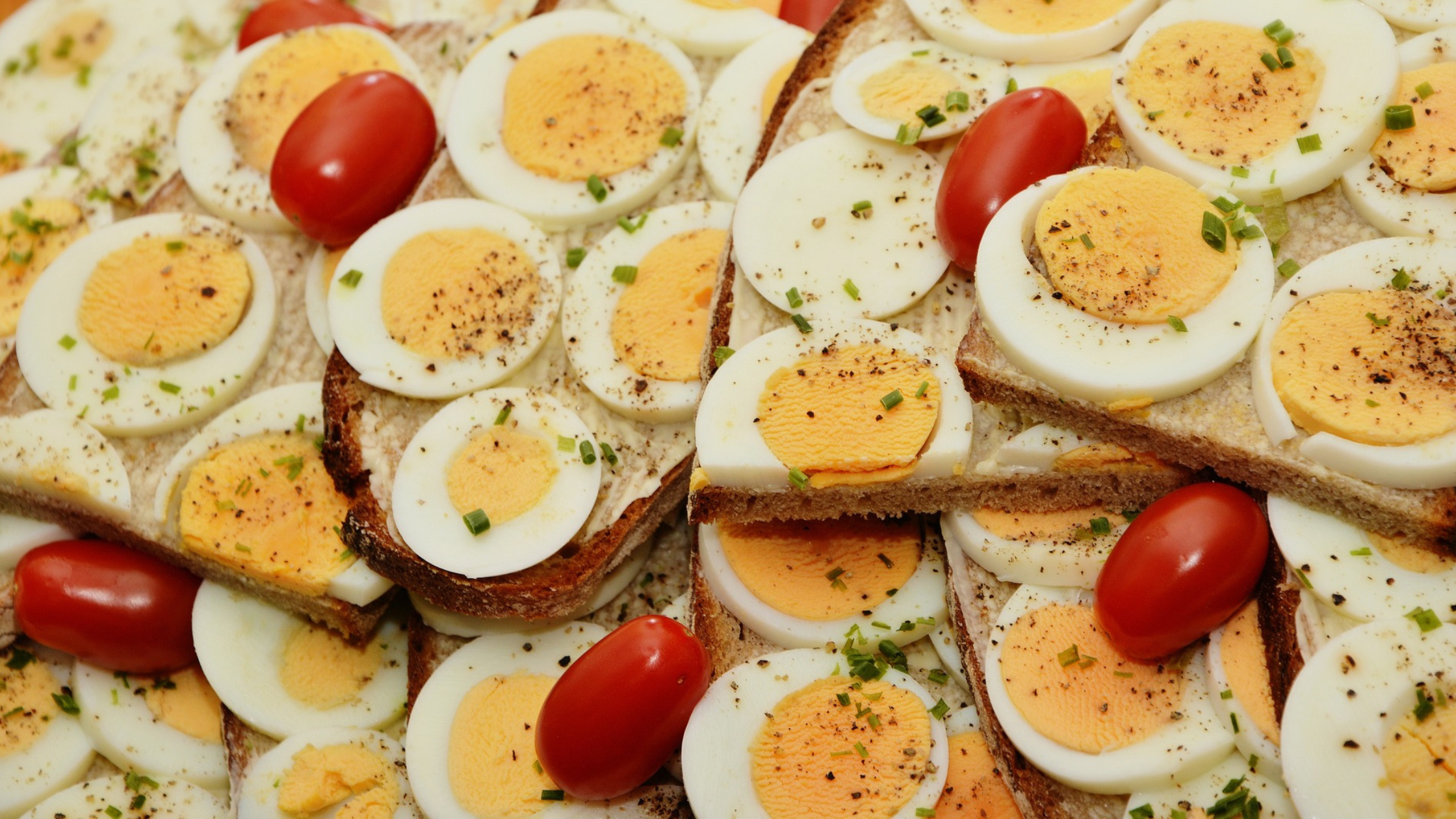 alimentos enriquecidos con proteínas